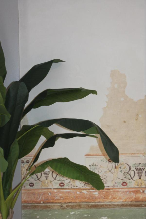 Casa Das Quatro Cabecas Setúbal Exteriör bild